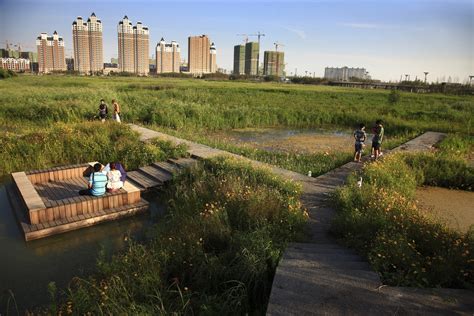 華僑城溼地公園如何與生態保護議題有著密切關係