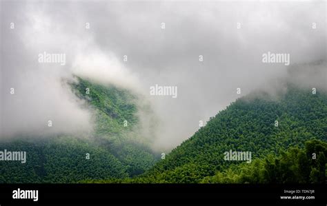 浦江到龍游要多久——交通方式及沿途风景详解